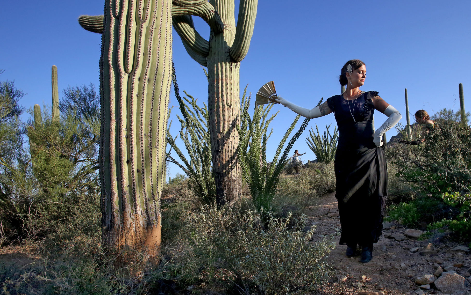 Saguaro Dance